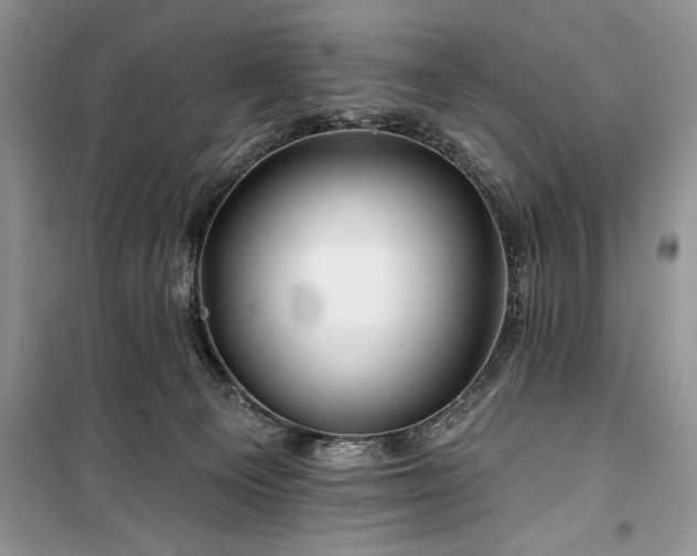 X0000100370129200806131046