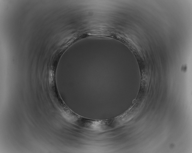 X0000100370130200806131046