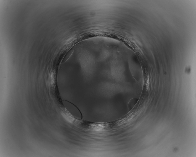 X0000100370131200806131046