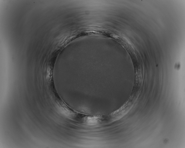 X0000100370134200806131046