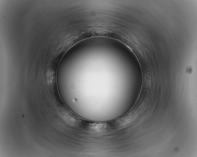 X0000100370135200806131046