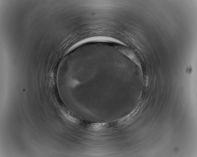 X0000100370136200806131046