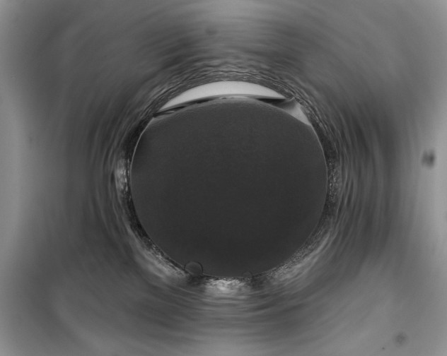 X0000100370137200806131046