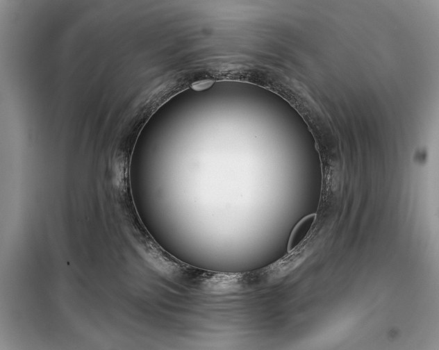 X0000100370138200806131046