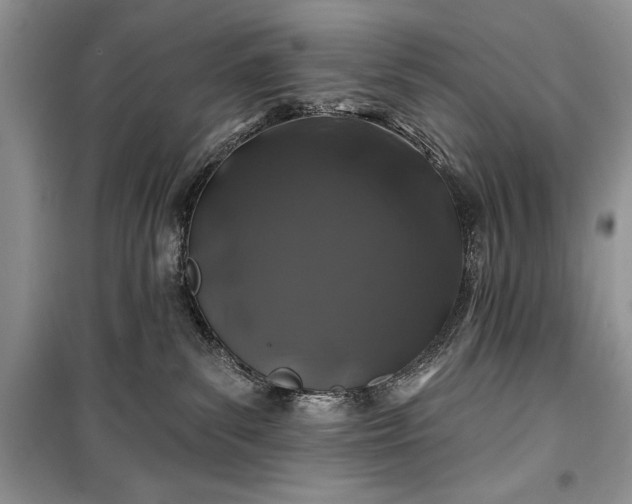 X0000100370139200806131046