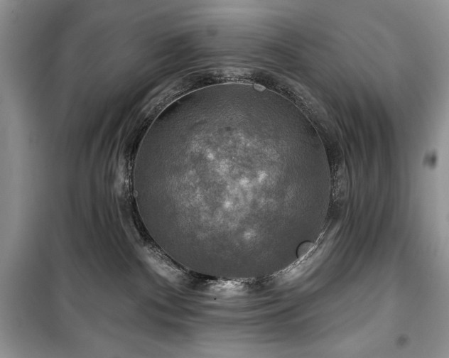 X0000100370140200806131046