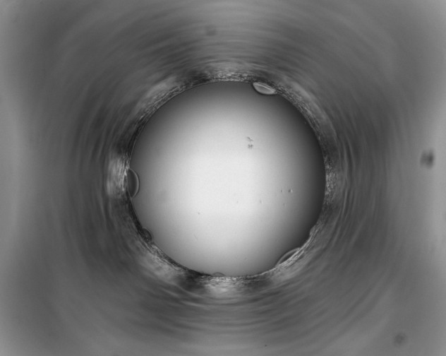 X0000100370142200806131046