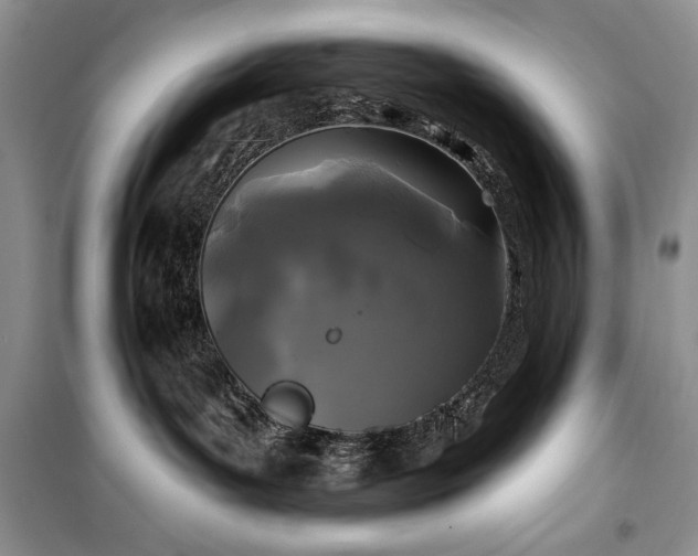 X0000100370143200806131046