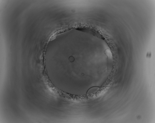 X0000100370144200806131046