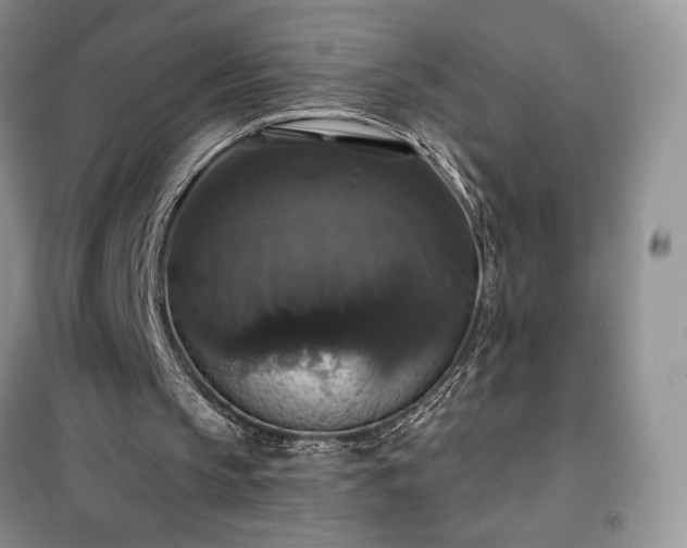 X0000100370145200806131045