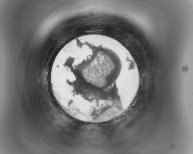 X0000100370146200806131045