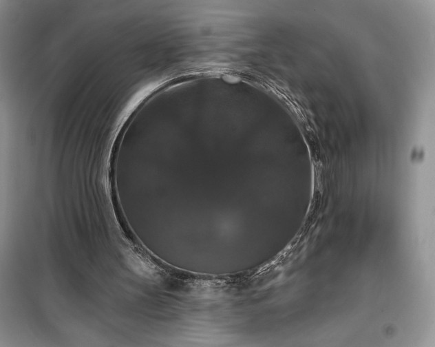 X0000100370147200806131045