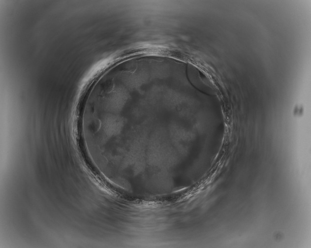 X0000100370149200806131045