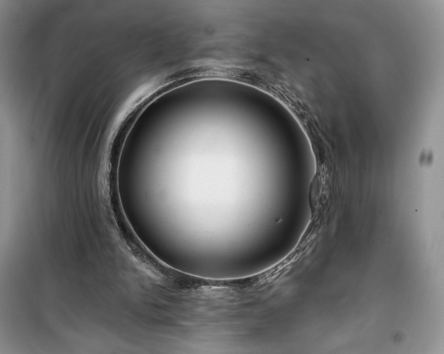 X0000100370150200806131045