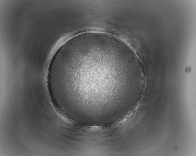 X0000100370151200806131045