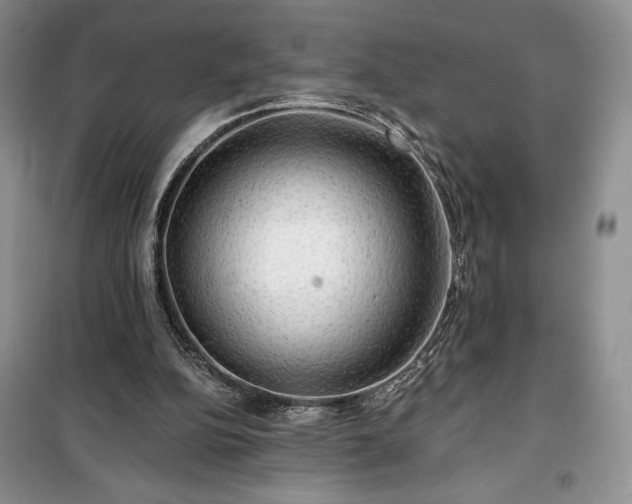 X0000100370152200806131045