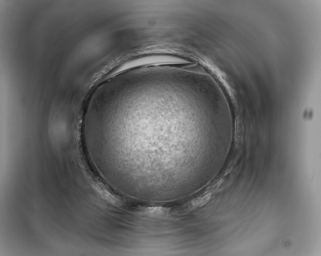 X0000100370153200806131045