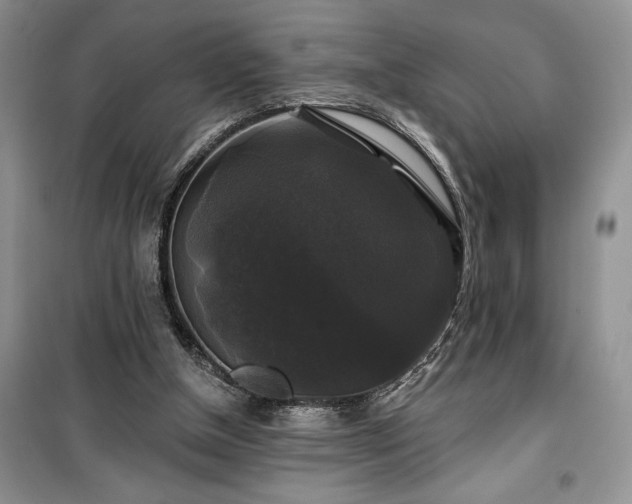 X0000100370154200806131045