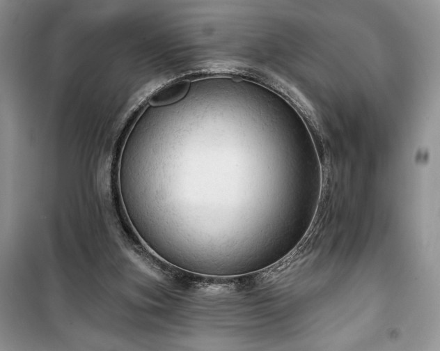 X0000100370155200806131045