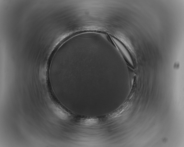 X0000100370156200806131045