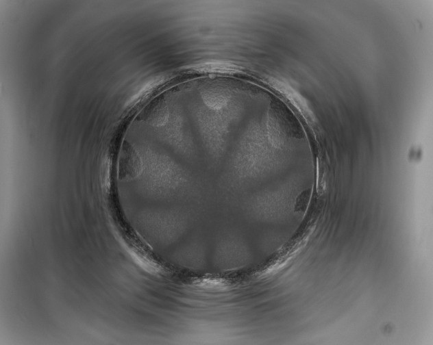 X0000100370157200806131045