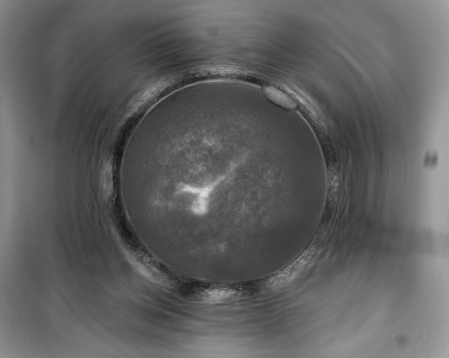 X0000100370158200806131045