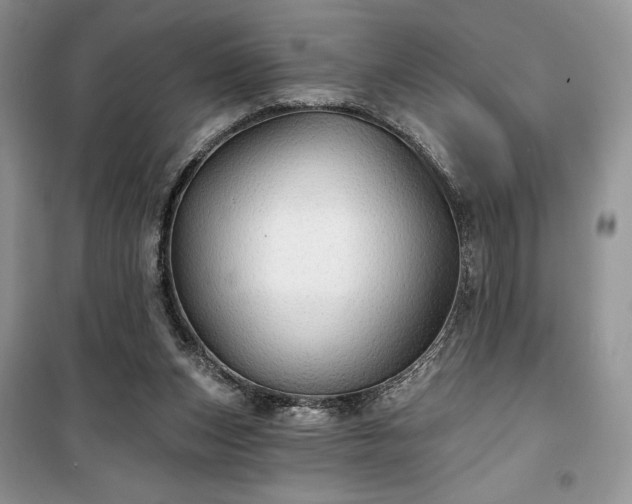 X0000100370159200806131045