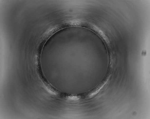 X0000100370161200806131045