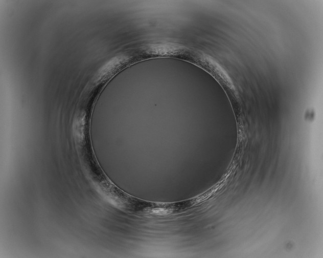 X0000100370163200806131045