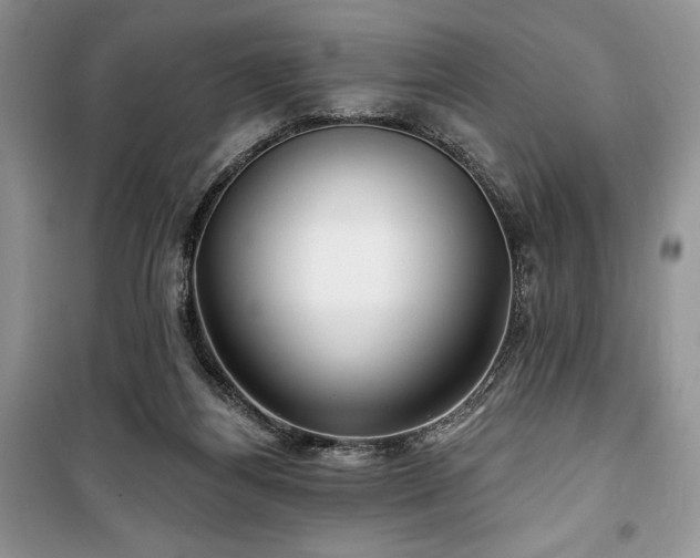 X0000100370164200806131045