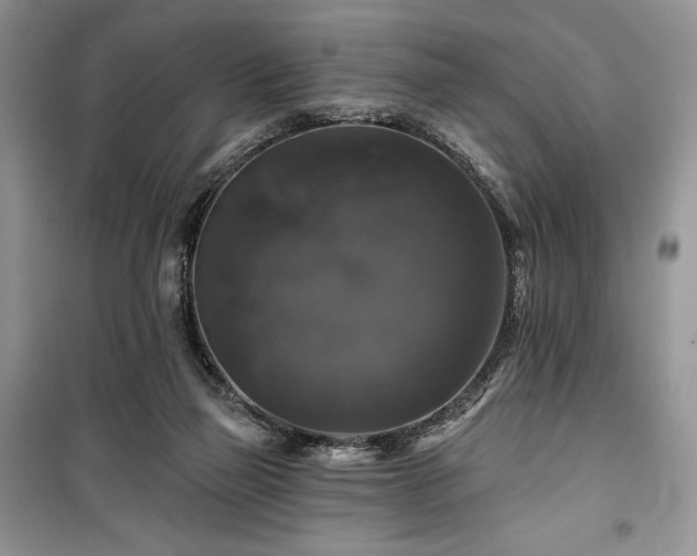 X0000100370165200806131045