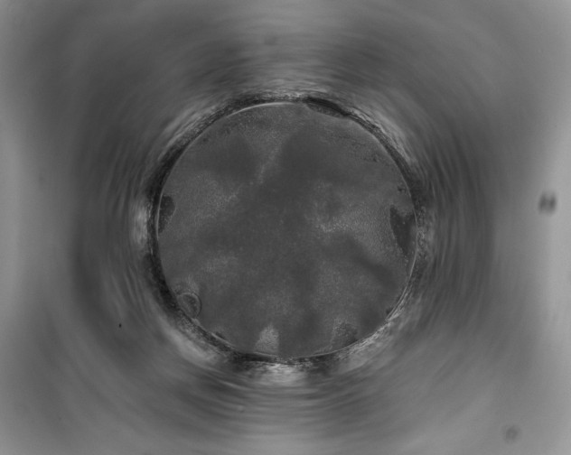 X0000100370166200806131045