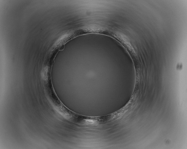 X0000100370167200806131045