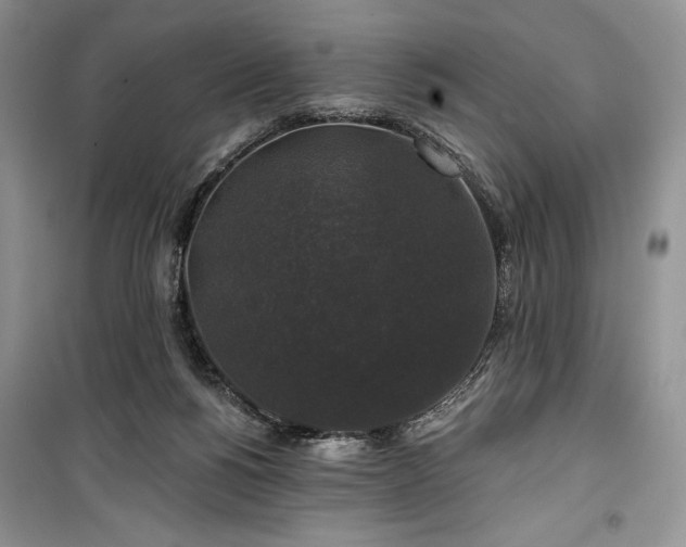 X0000100370168200806131045