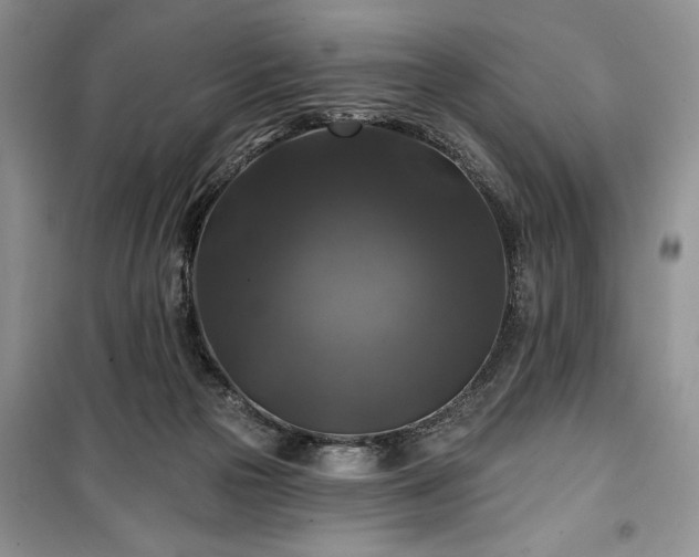 X0000100370169200806131045