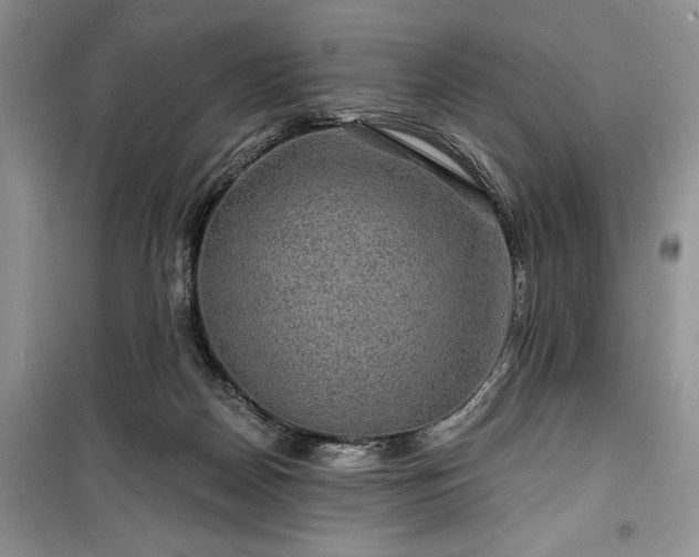 X0000100370170200806131045