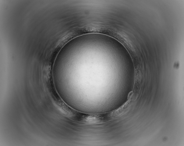 X0000100370171200806131045