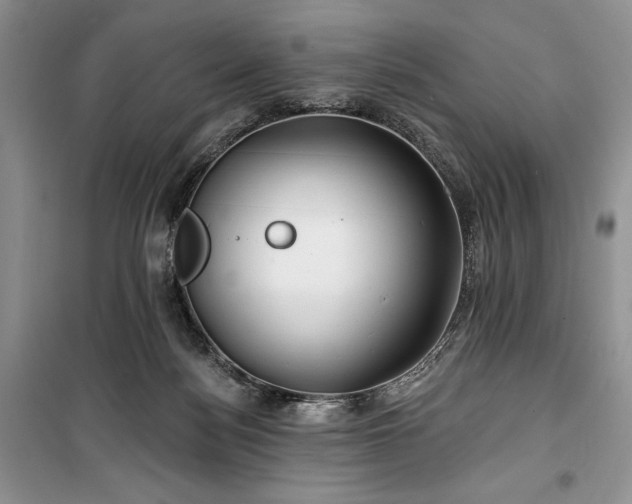 X0000100370172200806131045