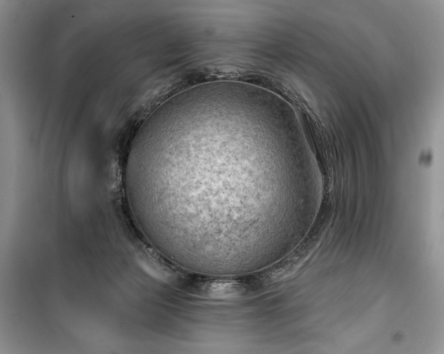 X0000100370173200806131045