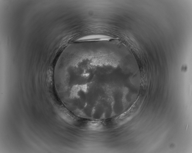 X0000100370175200806131045