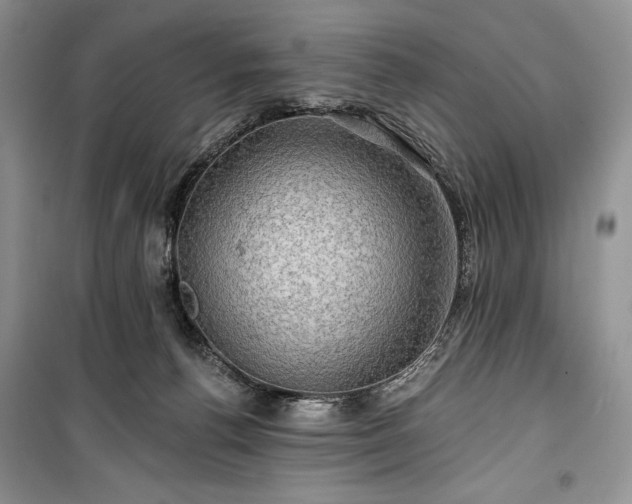 X0000100370176200806131045