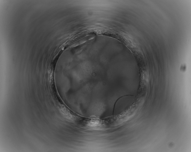 X0000100370177200806131045