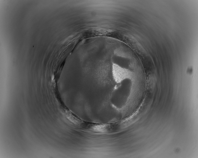 X0000100370178200806131045