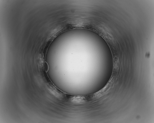 X0000100370179200806131046