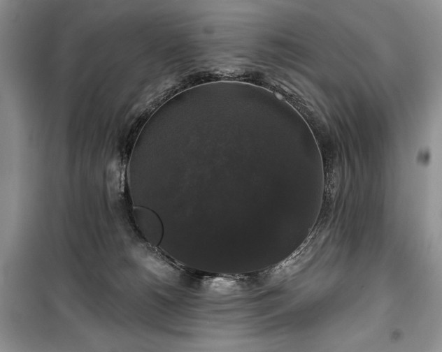 X0000100370180200806131046