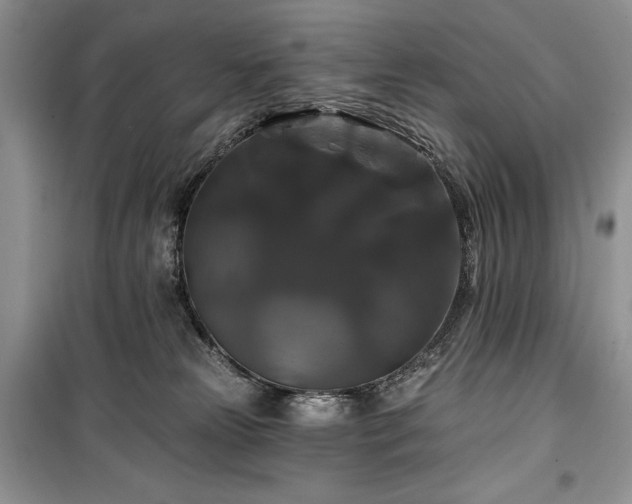 X0000100370181200806131046