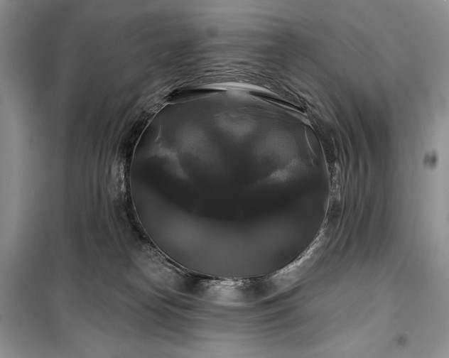 X0000100370182200806131046