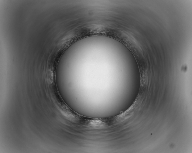 X0000100370183200806131046