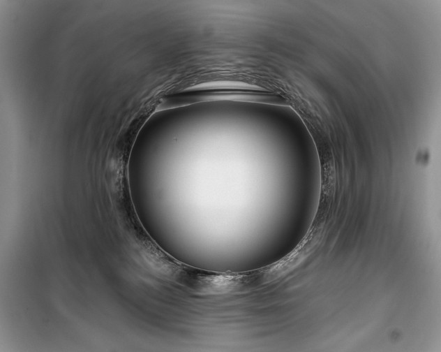 X0000100370184200806131046