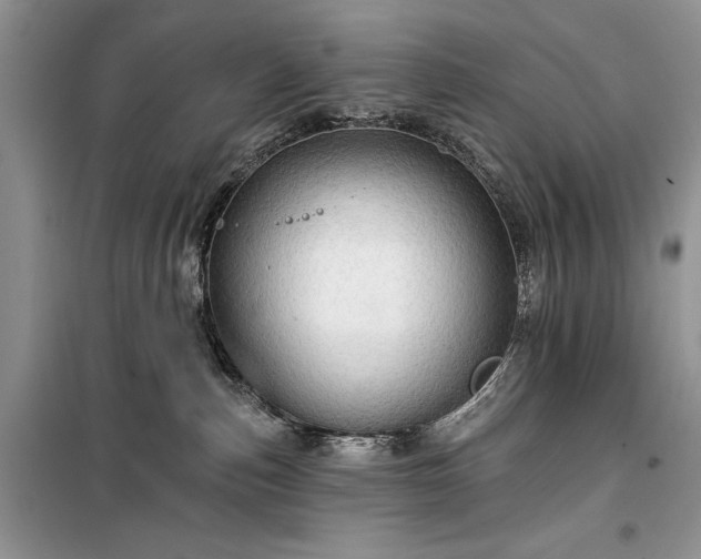 X0000100370187200806131046